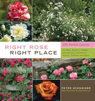 Right_rose__right_place