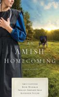 An_Amish_homecoming